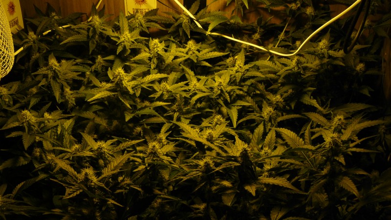 drobes day 43 and 30 13 04 22 026