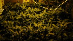 drobes day 43 and 30 13 04 22 026