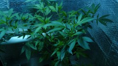 drobes day 43 and 30 13 04 22 030