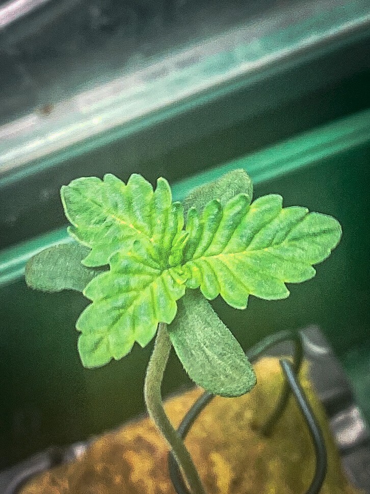 D03E3414-5988-4620-BBF4-5148CB1D47E0