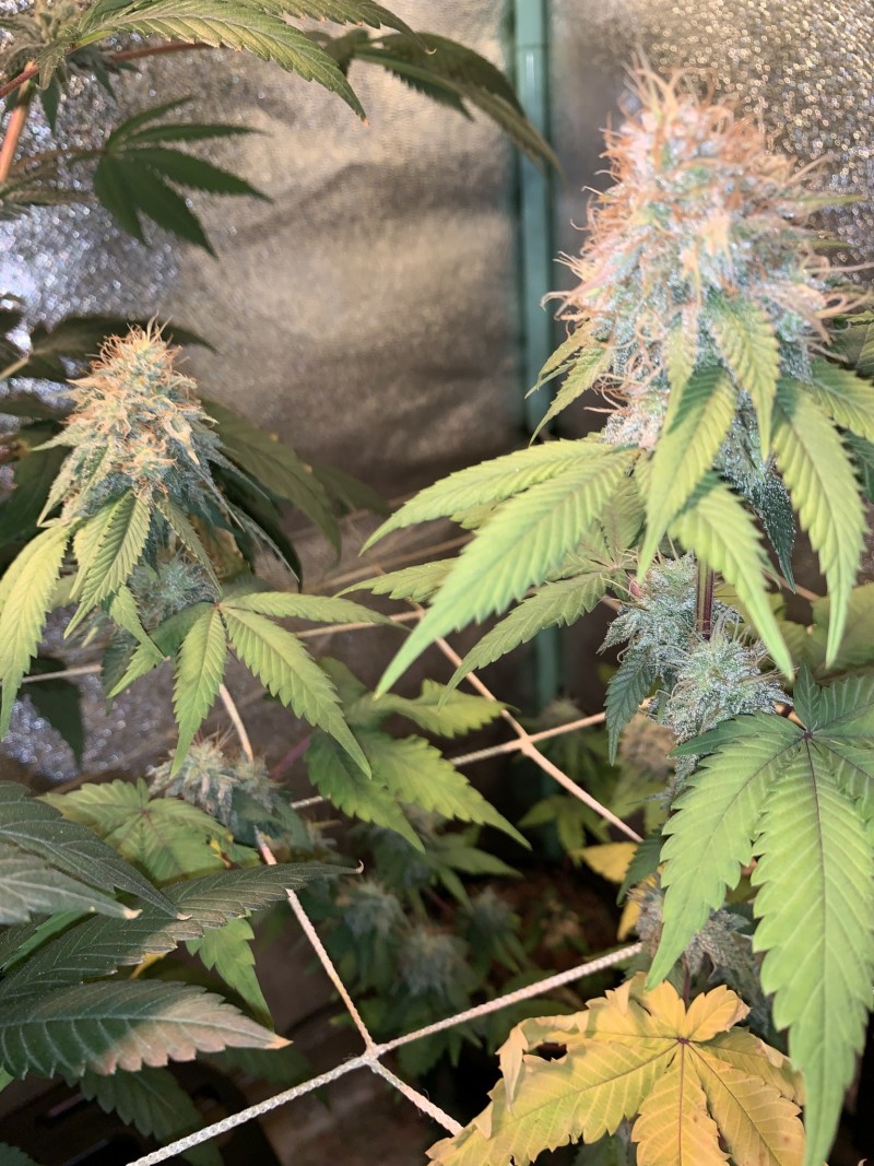 F54D73D5-BC1F-45BE-AD75-1545098E7006