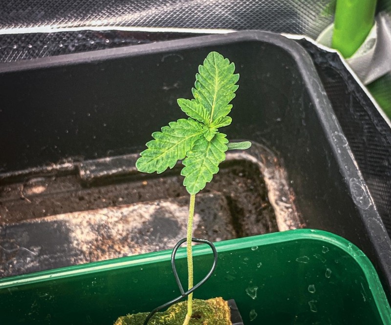 CF89622B-C607-4F3E-86DE-C932A08D710D