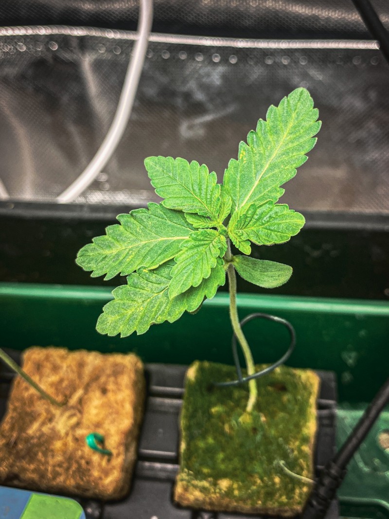 5B415A0B-42F6-4F8C-ADD7-FFAF07F5BAFA