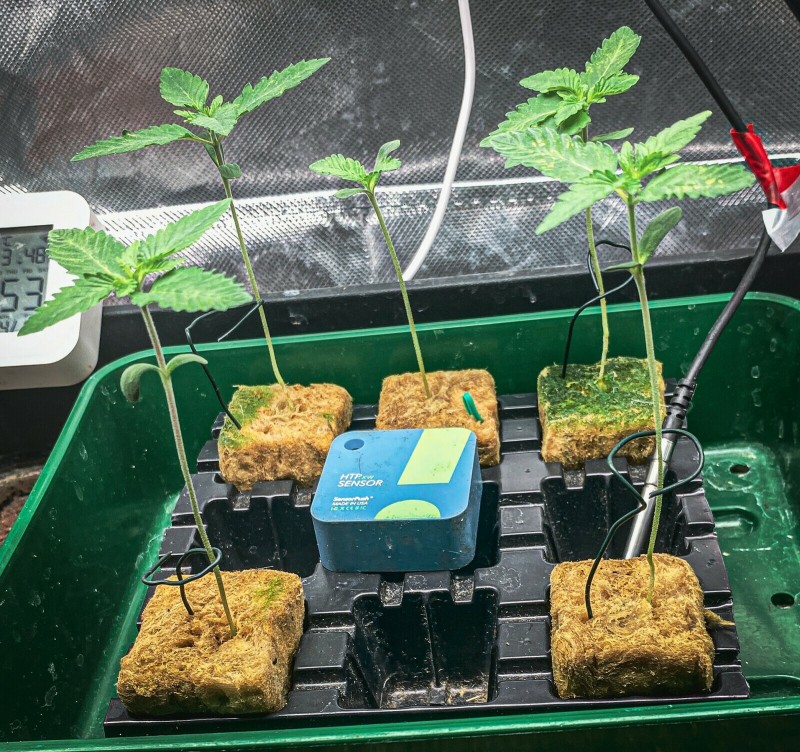 3930CE4D-81C0-4228-A136-A0F68646A4B5