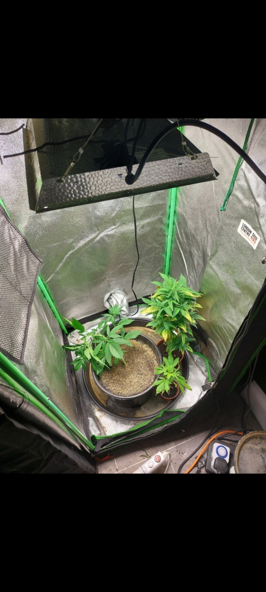 Screenshot_20220419-085142_Gallery