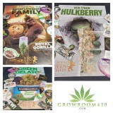 60D5ADD1-D40C-43BA-A83C-528812B7E0E4