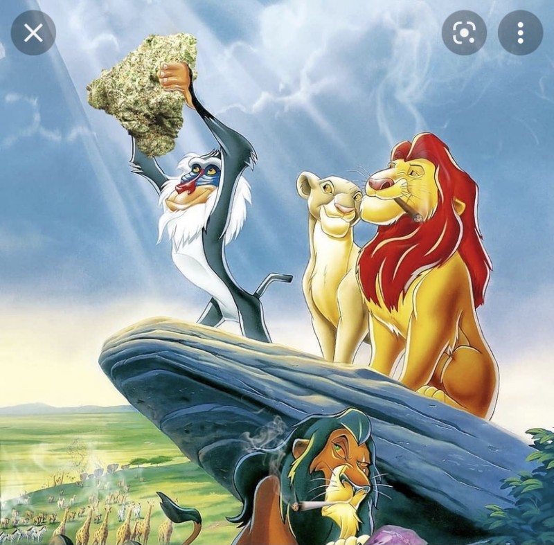 814A3420-4A7D-4911-9EA0-5DB035B8C148