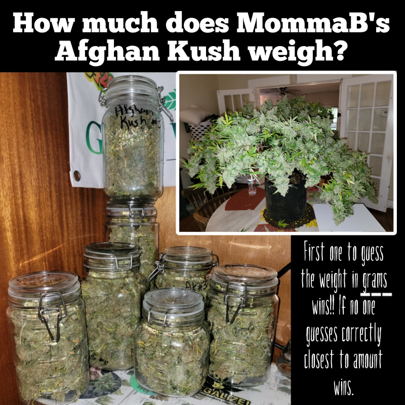 project_20220419_1358284-01~2