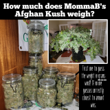 project_20220419_1358284-01~2