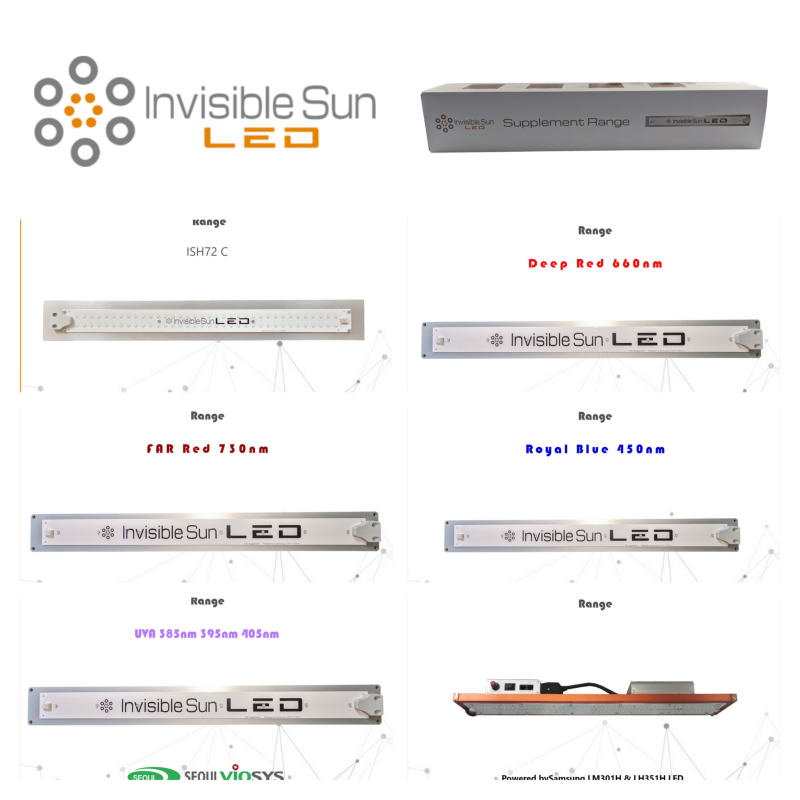 GridArt_20220419_220252630