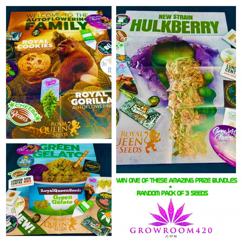 mn 420 prize added txt