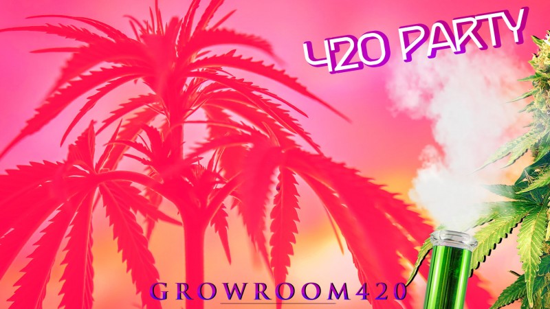 mn 420 month party plain