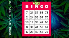 mn 420 party bingo