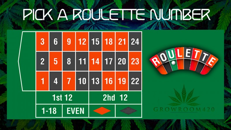 mn 420 month roulette