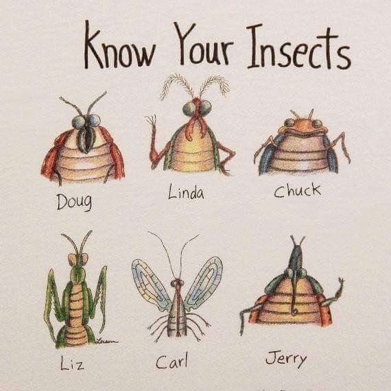 278245105_10166417226880375_8419441630328856218_n