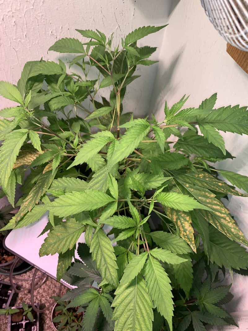 737E98D9-0AD9-4563-8413-22DD18EA5786