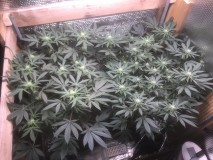 6925A7FA-674E-4D64-9752-772B0548292D