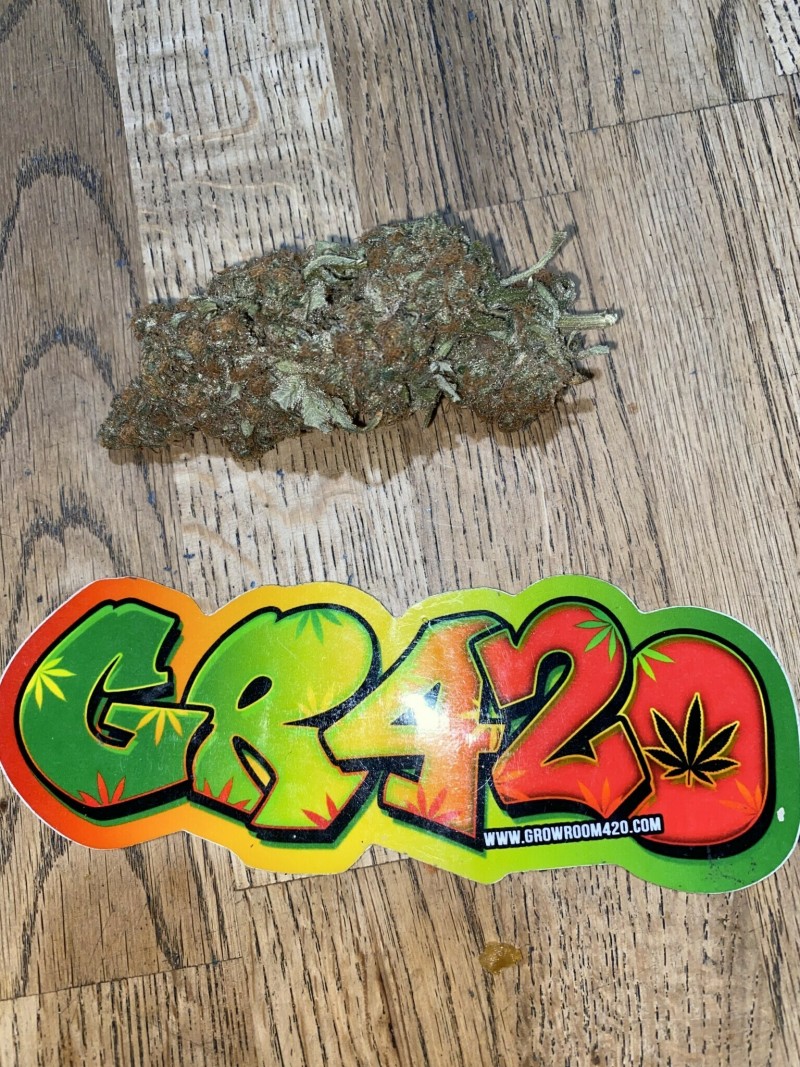 E33325B3-562F-4646-AF8C-CA369A2EA605