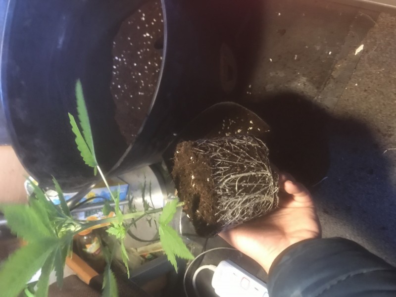 29BD9B8E-59F7-487B-9691-6D999E5C5DF2