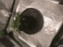 A0D988C4-4DA2-44C6-BF7E-EF2E80695A63