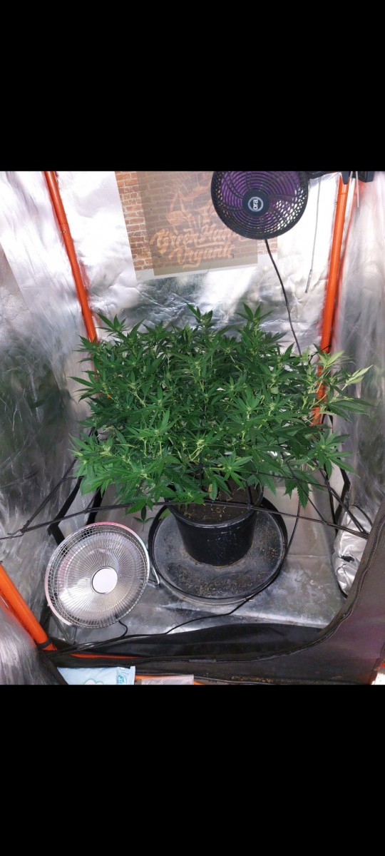 Screenshot_20220425-083255_Gallery