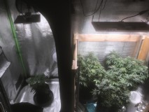 A08DEBB0-D2D0-4DD1-B858-9C1C17963CCA