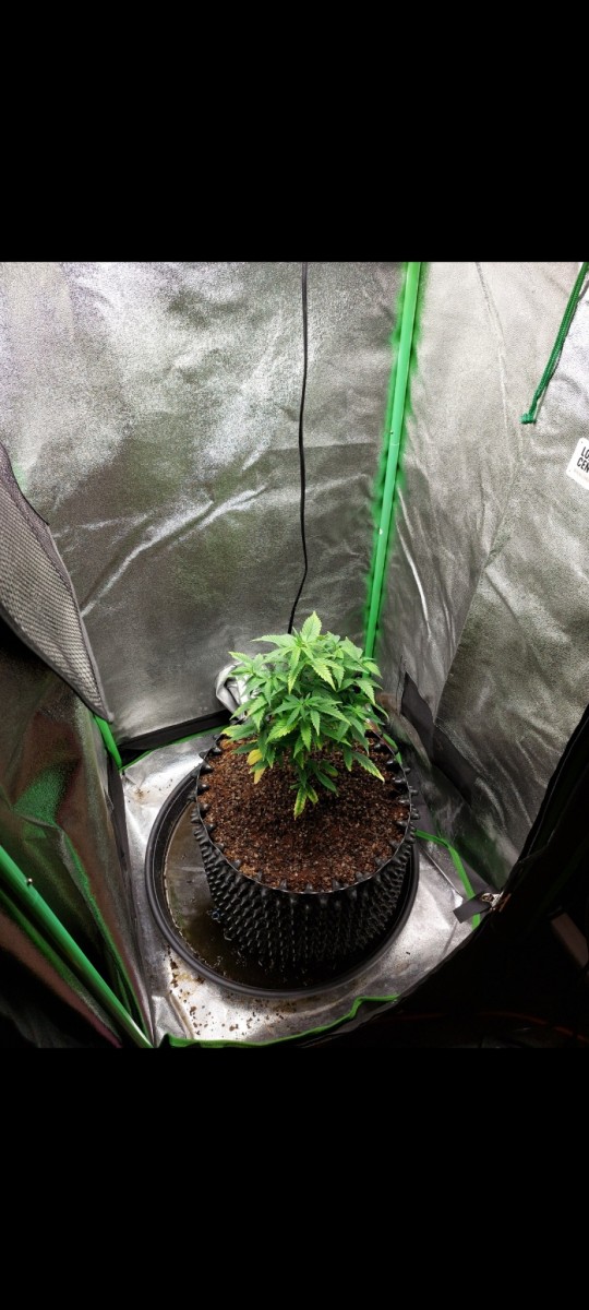 Screenshot_20220427-084232_Gallery