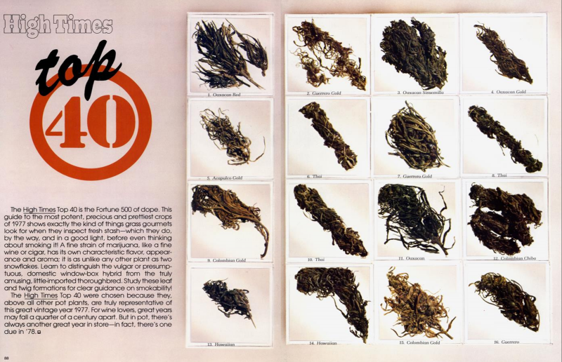 uploads1587409924224-Screen+Shot+2016-11-17+at+10_17_53+AM