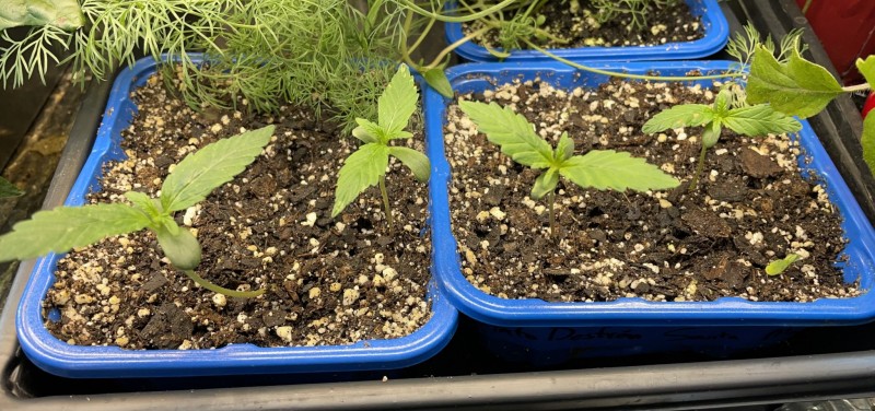 4934E3BD-3B6E-463F-9AB4-4A3E20A35929