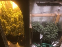 584B2E8F-CEA2-42FD-A86E-F373025DAF9B