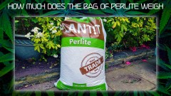 mn 420 month How much does the bag of perlite weigh