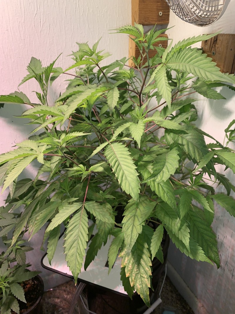 EF92AFEE-3F1A-4743-AF21-F6EE0038C362