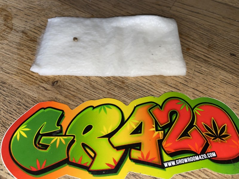 0CB6C0D1-1442-4822-8F2F-875CBA5C364D