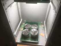 25D2DFBA-E87C-4E40-AFC3-550EE0A34DCC