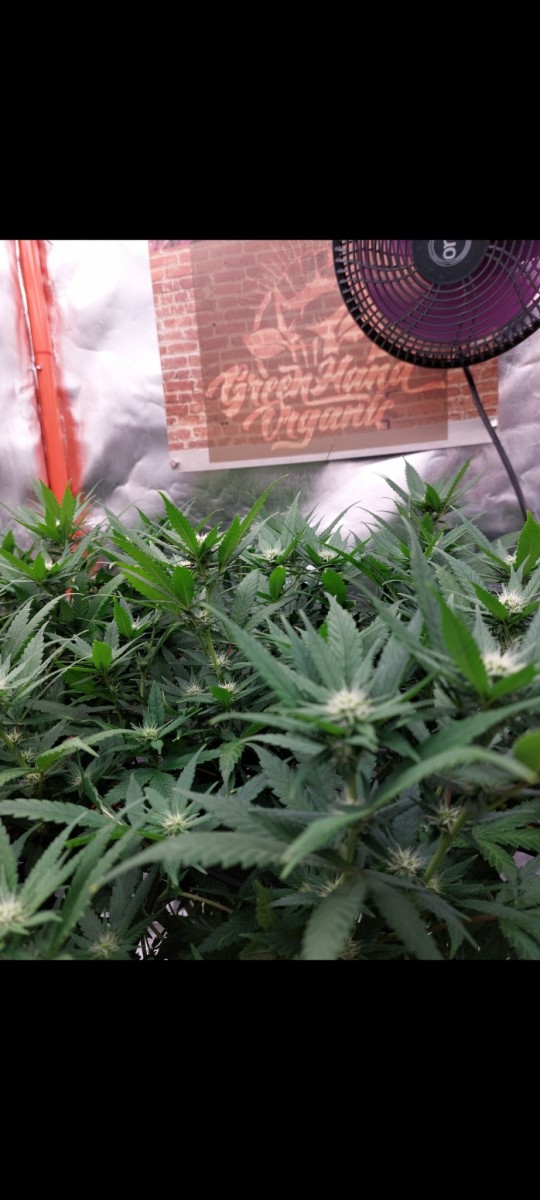 Screenshot_20220501-032634_Gallery