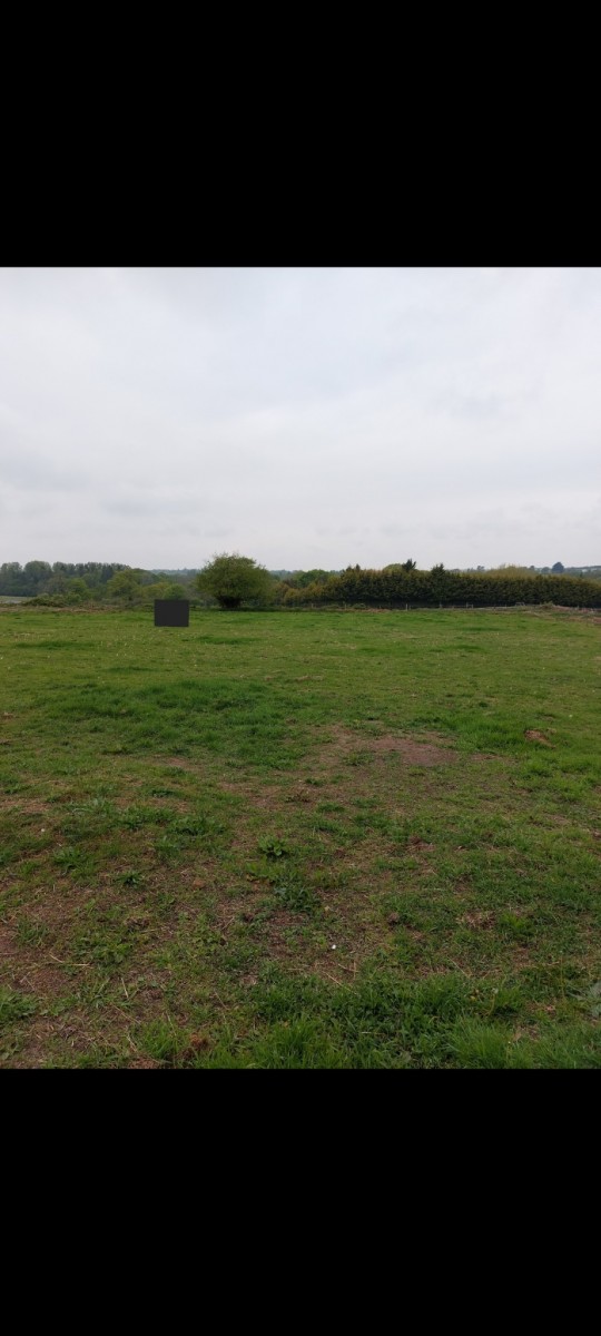 Screenshot_20220501-175419_Gallery