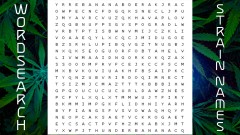 420 month word search strain names