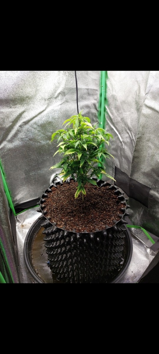 Screenshot_20220503-113434_Gallery