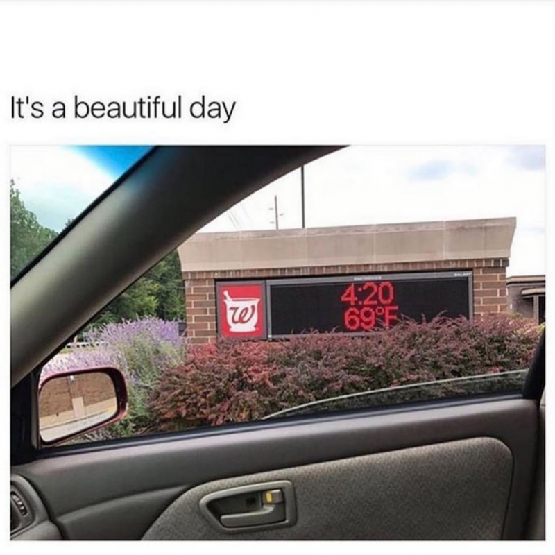 Screenshot 2022-05-03 at 22-04-34 StonerThings™ (@stonerthingsofficial) • Instagram photos and videos