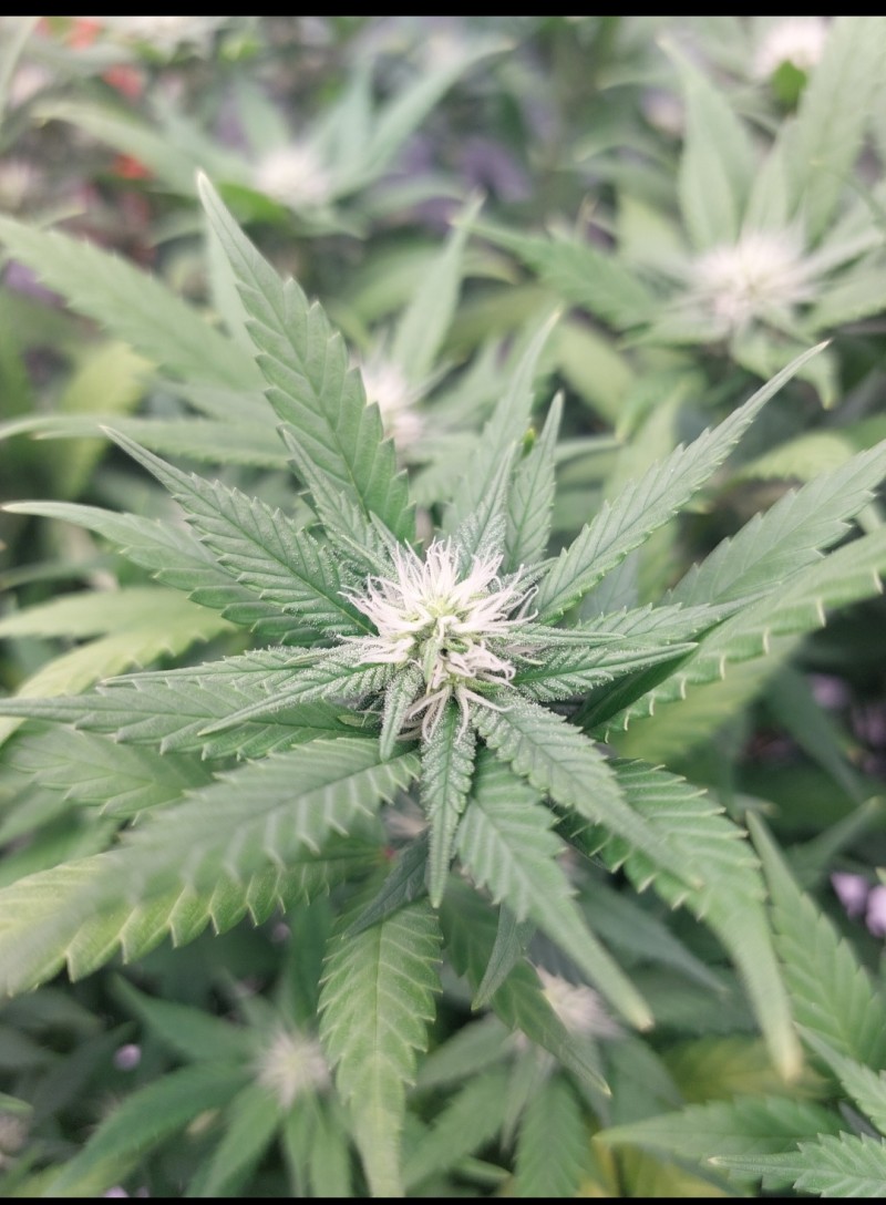 Screenshot_20220504-204857_Gallery