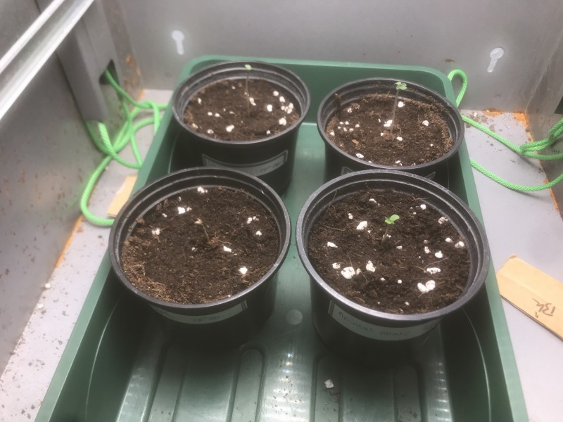 471645E1-3D97-409A-830D-FE30986C7572