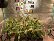 9068D7B8-F5D1-43BB-BA93-CA322584FF36