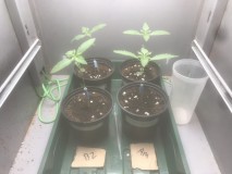 94E0BF08-0E23-4A57-9087-A0D209C8F256