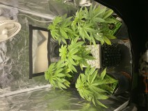 350F242D-9172-4859-A7C6-2FA2EA94BBF9