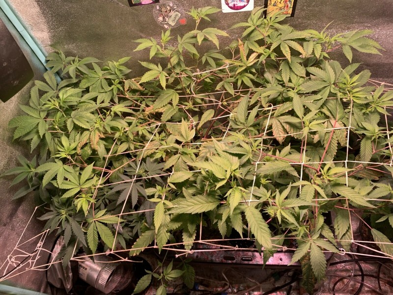 7AA9256C-F6AB-4877-8210-7CD41E12B39B