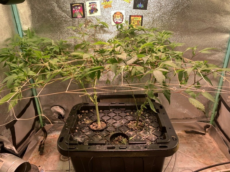 73BA79AD-8497-4BC1-B0BD-82D57846375F