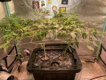 73BA79AD-8497-4BC1-B0BD-82D57846375F