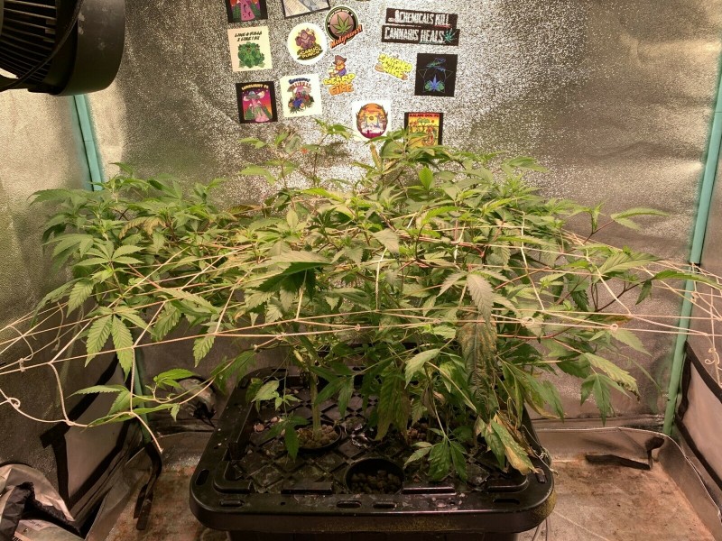 33E0D007-3930-48C3-BD11-2F7E3AB5B171