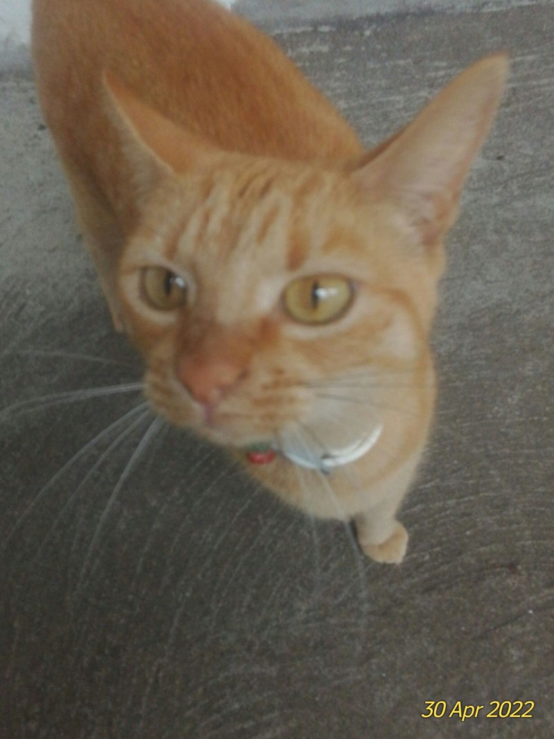 P_20220430_111425_1_p