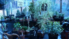 autos drobes 15 05 22 005